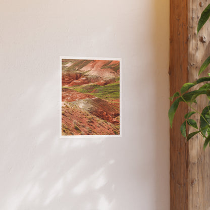 "Petrified Forest" - Open Edition Fine Art Print