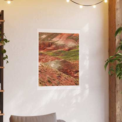 "Petrified Forest" - Open Edition Fine Art Print